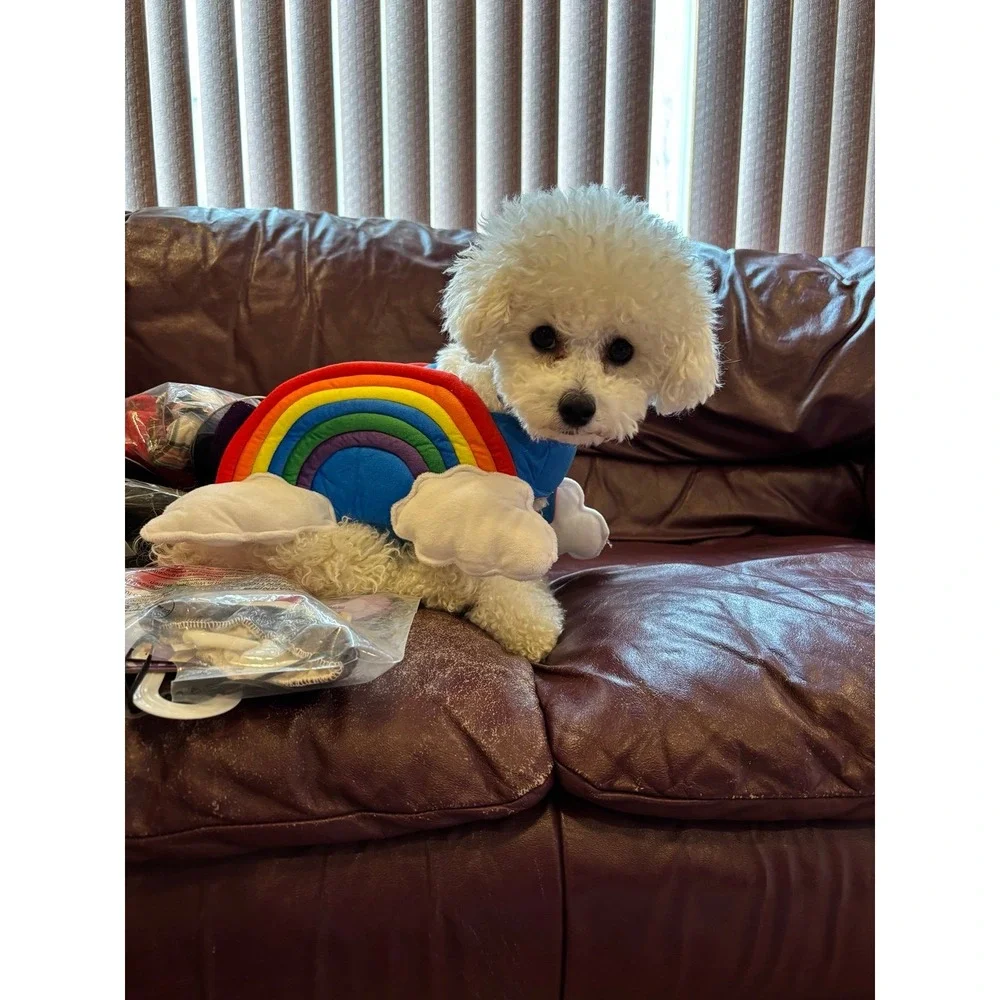 Rainbow‎ Dog Costume Pup Crew M/L